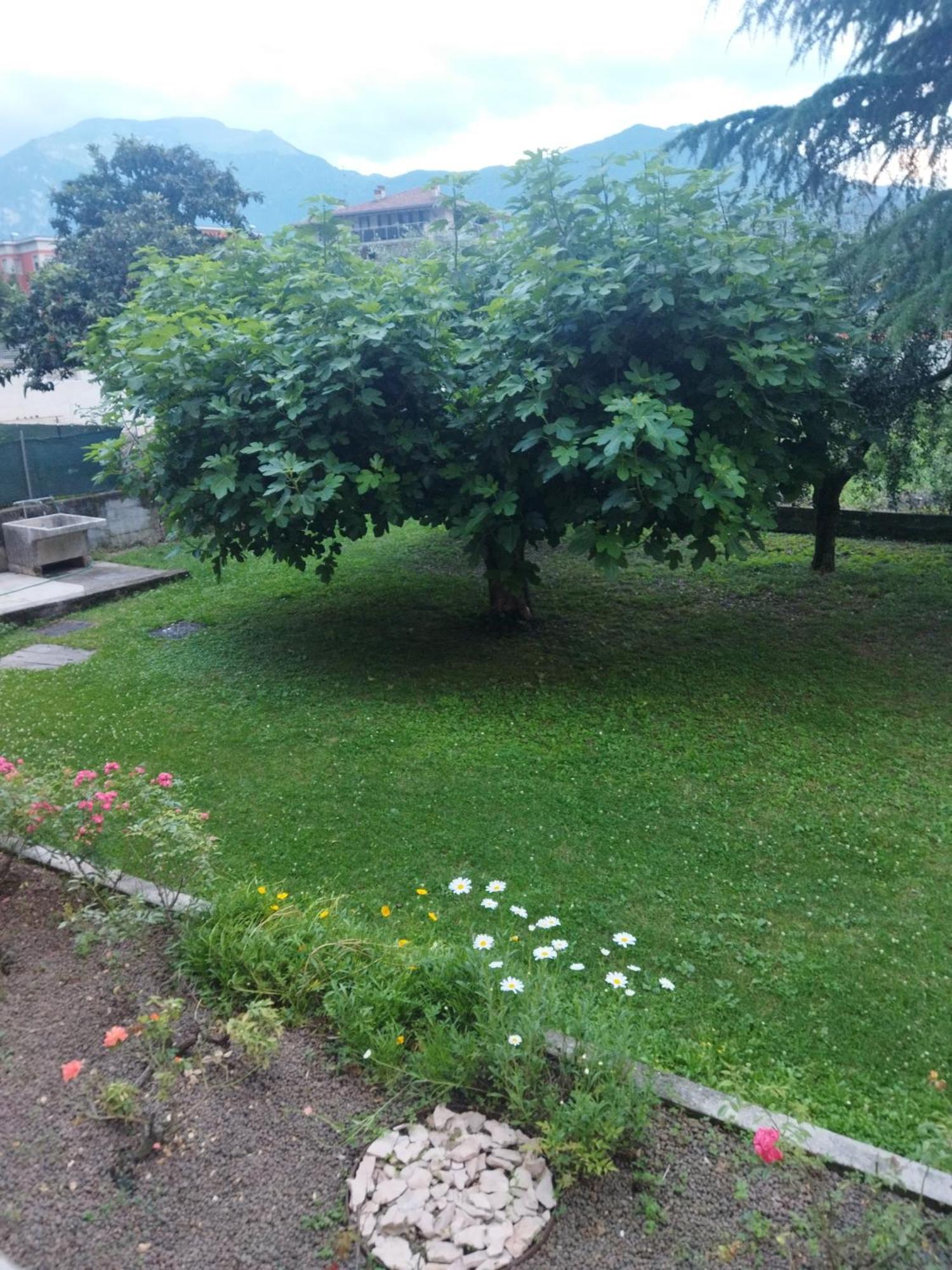 Апартаменти Rose Garden House Wi-Fi Рива-дель-Гарда Екстер'єр фото